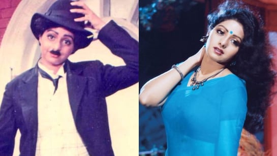 Sridevi Mr India